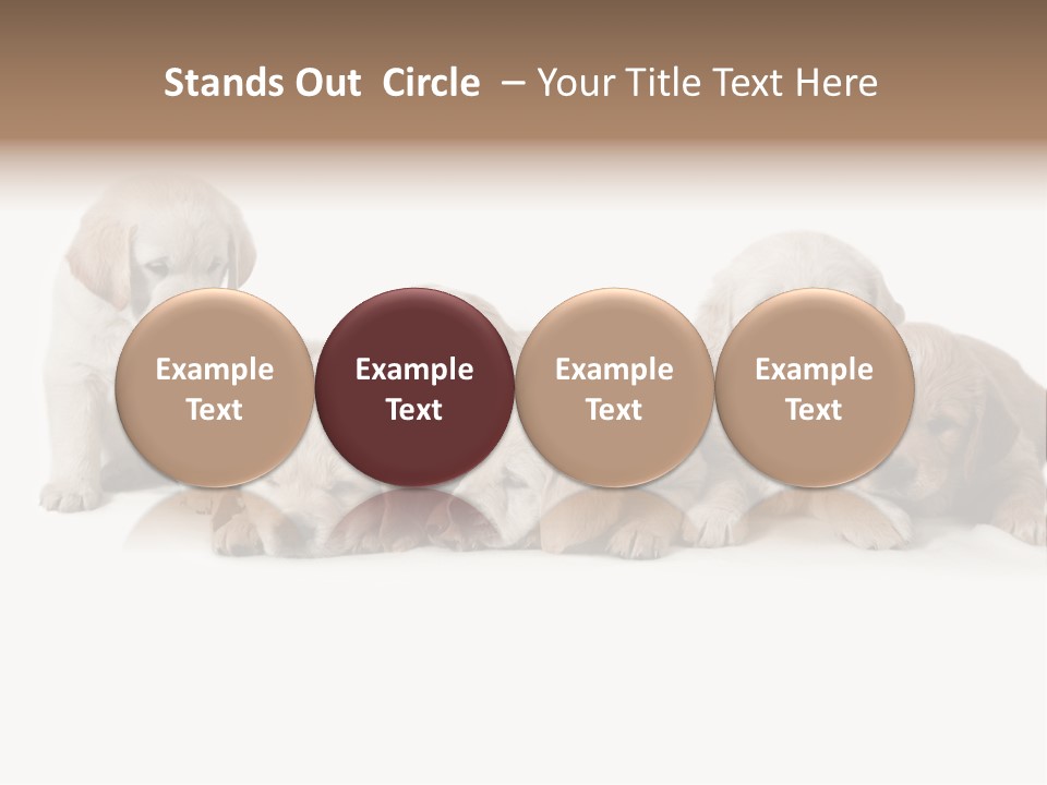 Mammal Portrait Retriever PowerPoint Template