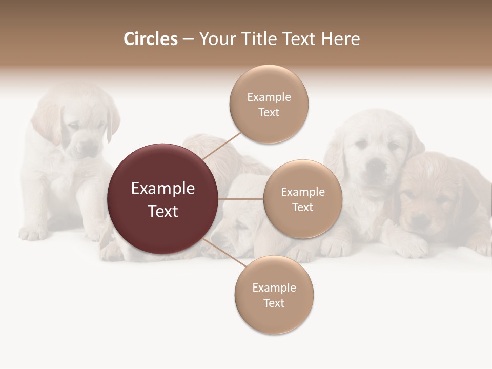 Mammal Portrait Retriever PowerPoint Template