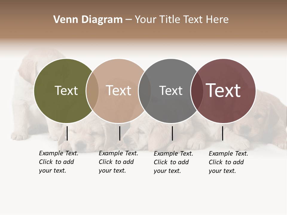 Mammal Portrait Retriever PowerPoint Template