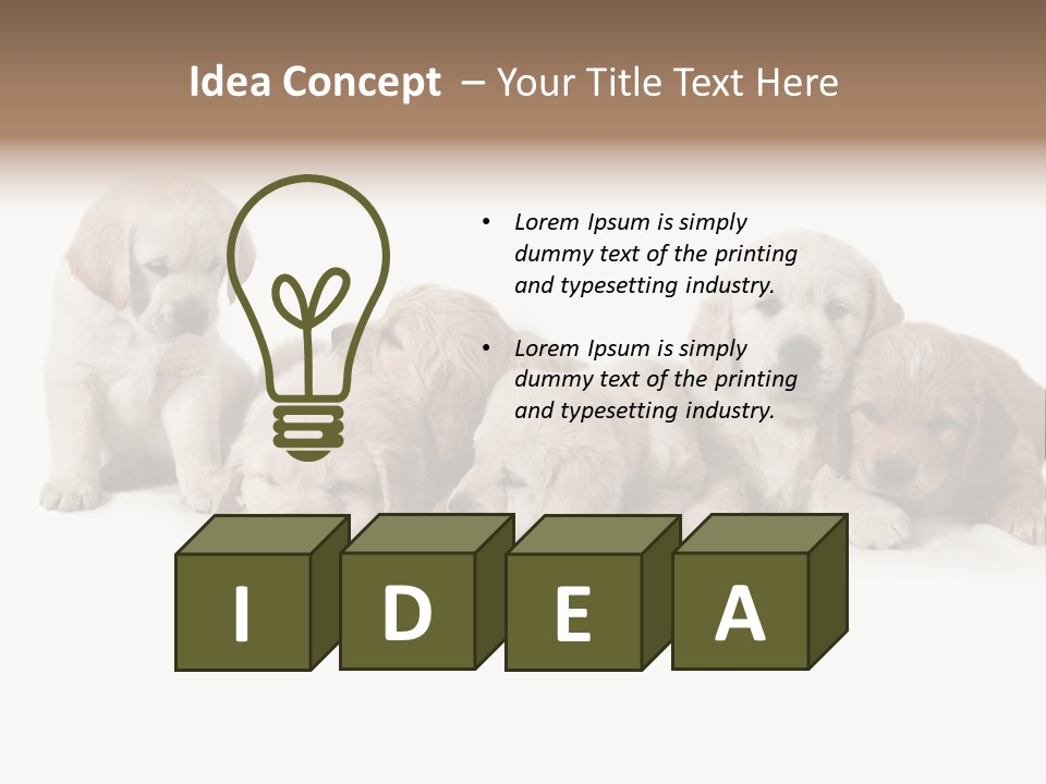 Mammal Portrait Retriever PowerPoint Template