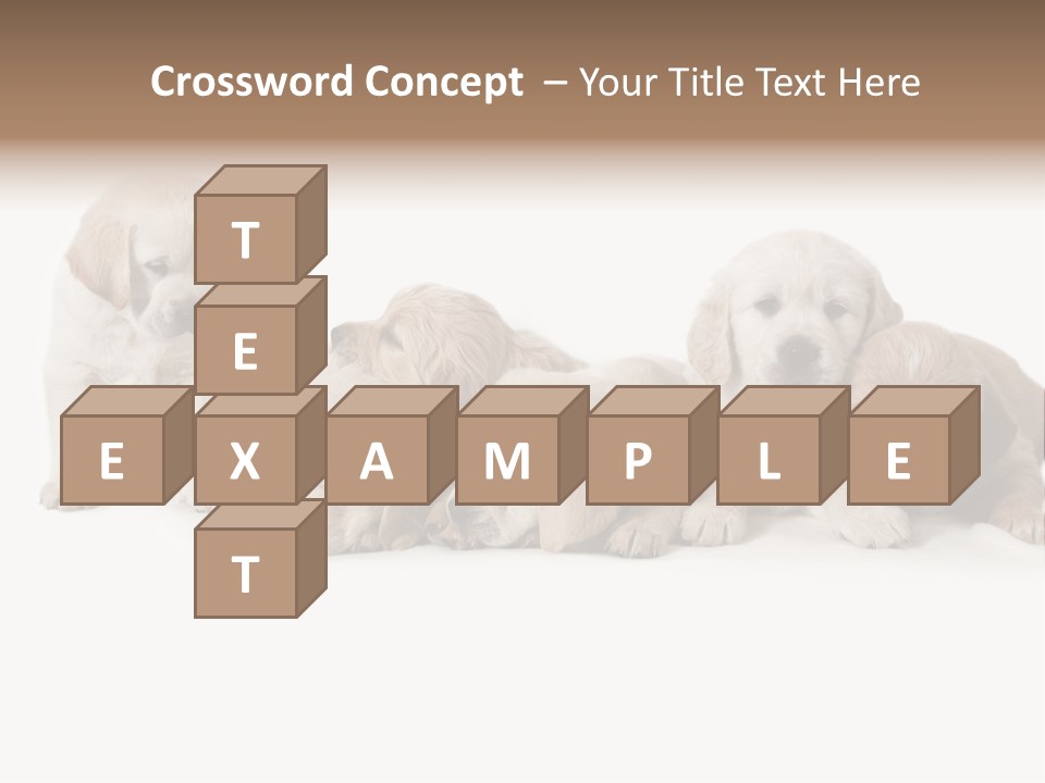 Mammal Portrait Retriever PowerPoint Template