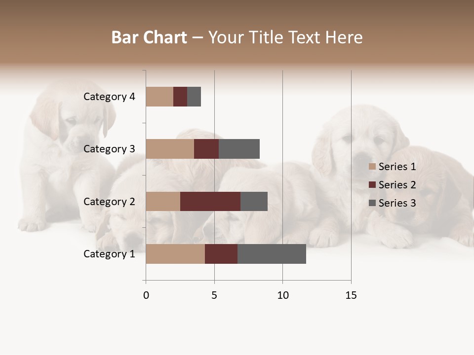 Mammal Portrait Retriever PowerPoint Template