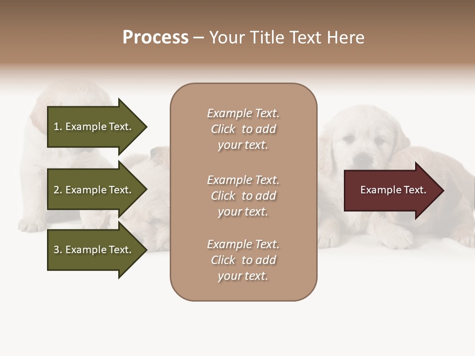 Mammal Portrait Retriever PowerPoint Template