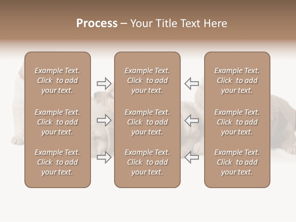 Mammal Portrait Retriever PowerPoint Template
