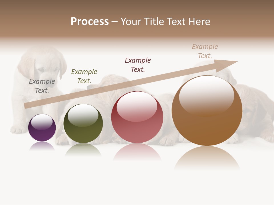 Mammal Portrait Retriever PowerPoint Template