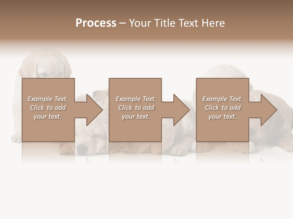Mammal Portrait Retriever PowerPoint Template
