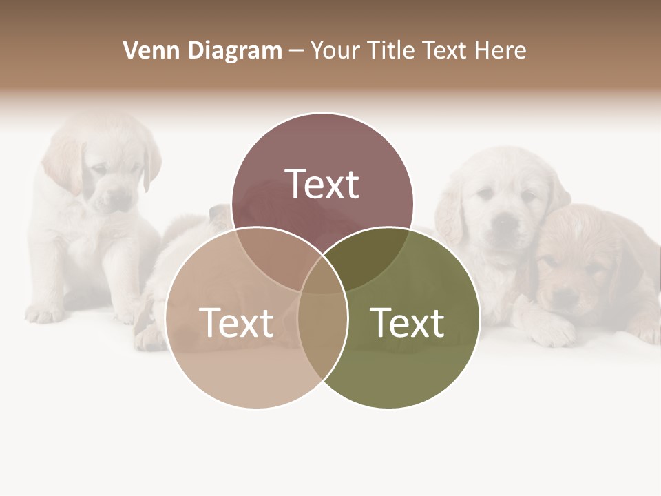 Mammal Portrait Retriever PowerPoint Template