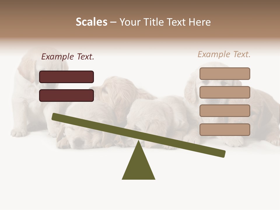 Mammal Portrait Retriever PowerPoint Template