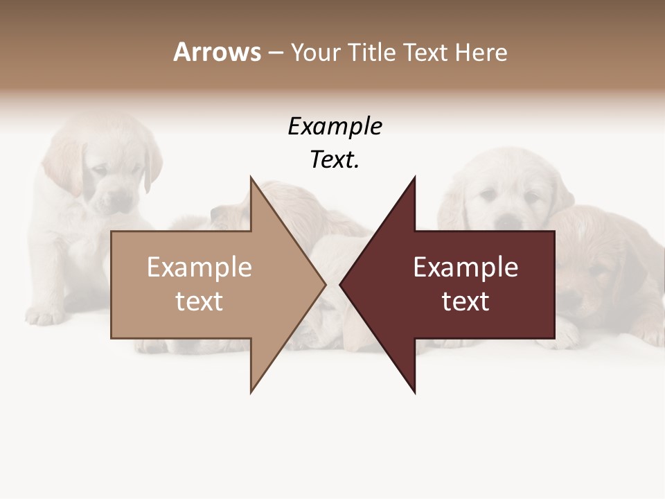 Mammal Portrait Retriever PowerPoint Template