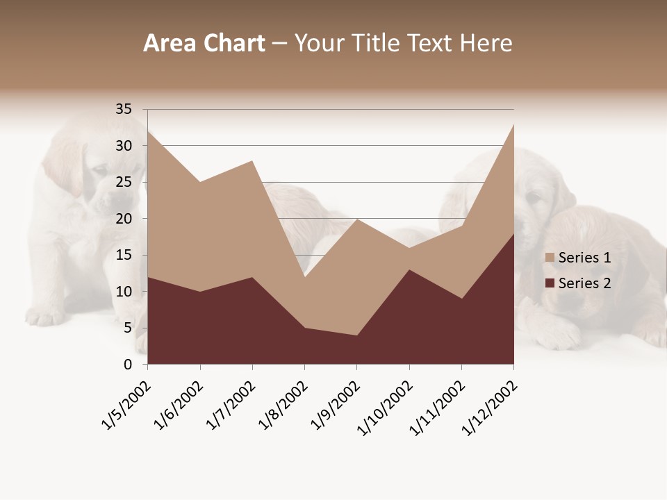 Mammal Portrait Retriever PowerPoint Template