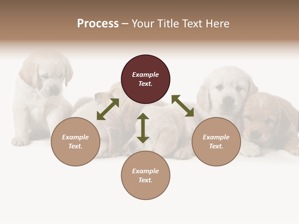 Mammal Portrait Retriever PowerPoint Template