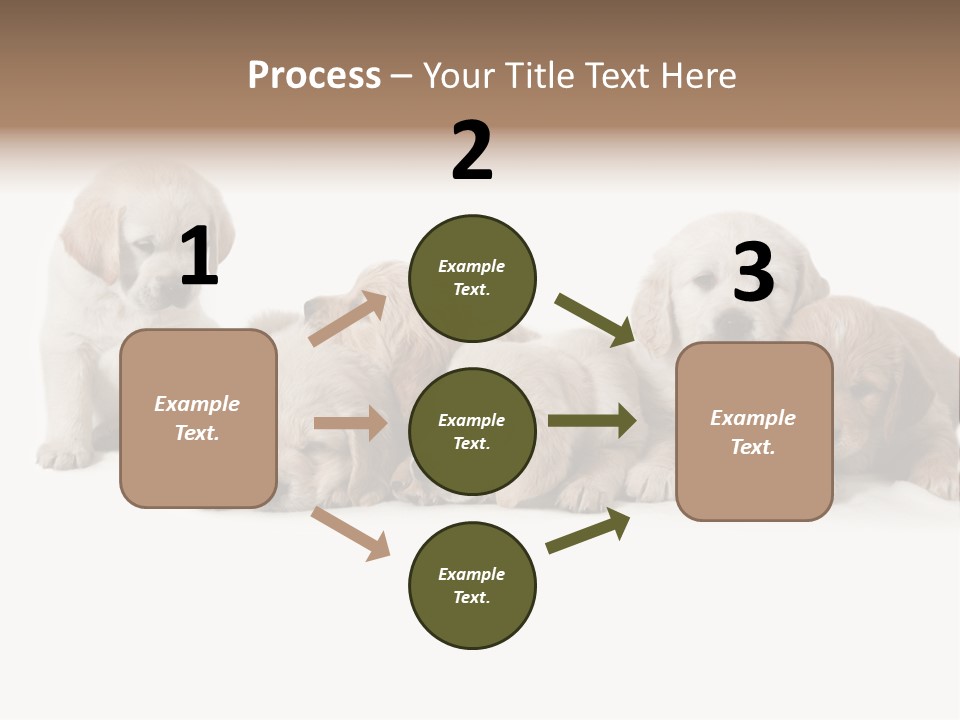 Mammal Portrait Retriever PowerPoint Template
