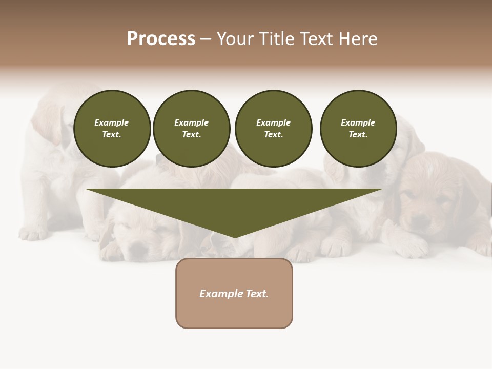 Mammal Portrait Retriever PowerPoint Template