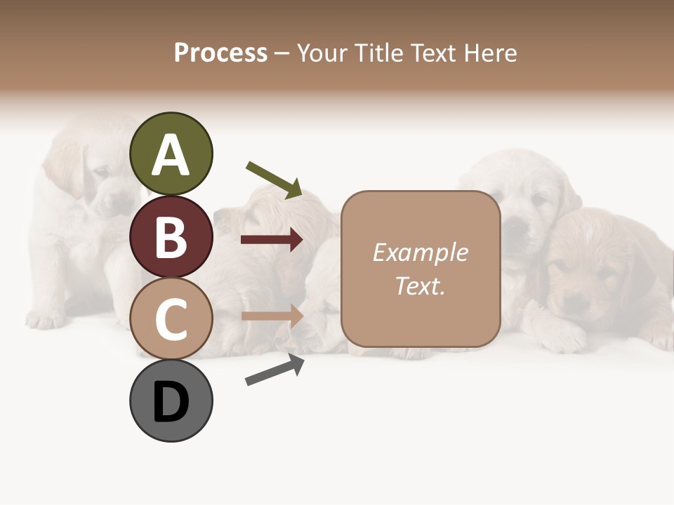 Mammal Portrait Retriever PowerPoint Template
