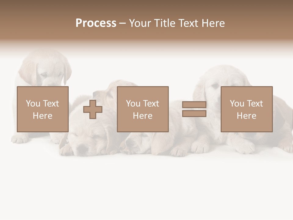 Mammal Portrait Retriever PowerPoint Template