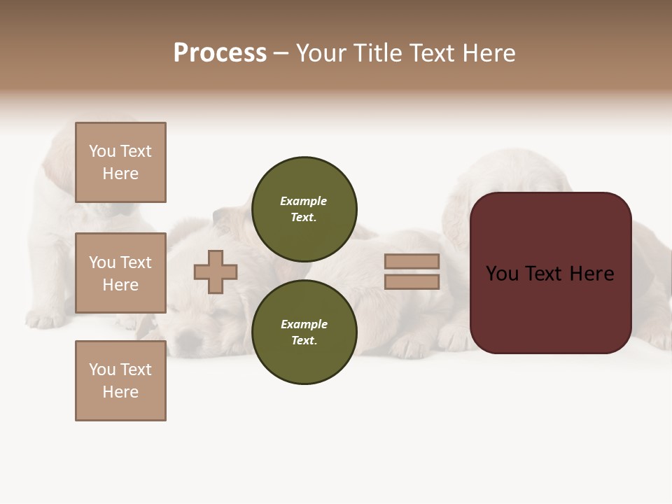 Mammal Portrait Retriever PowerPoint Template