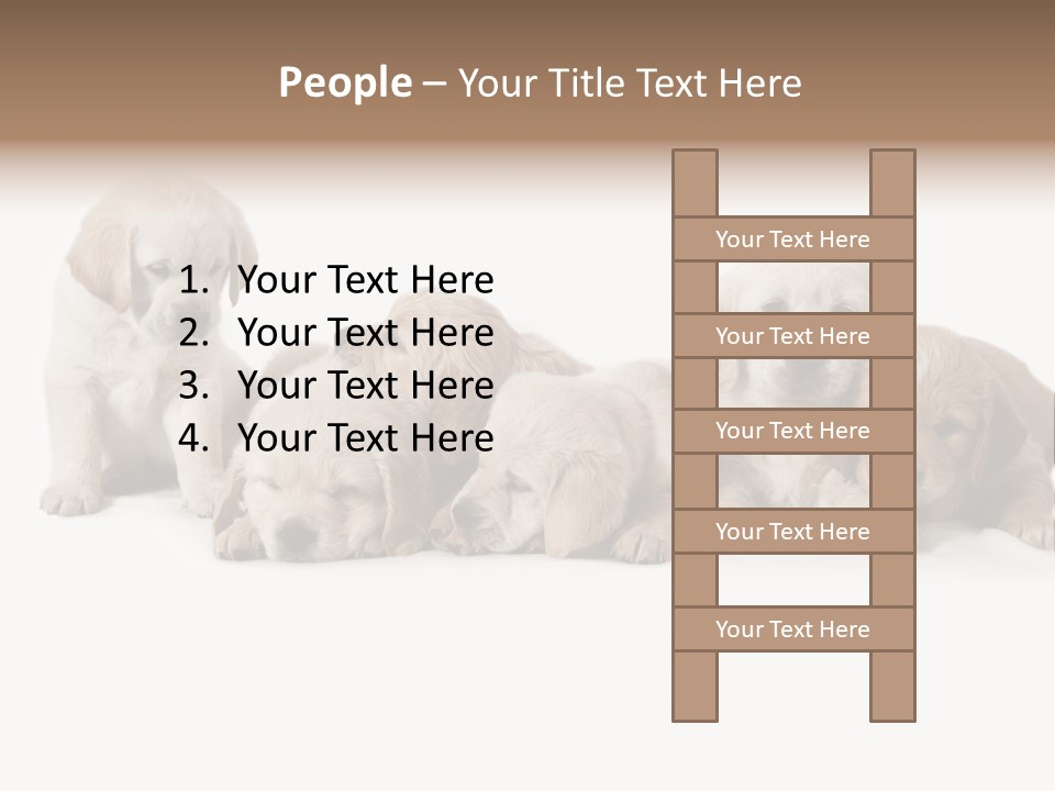 Mammal Portrait Retriever PowerPoint Template