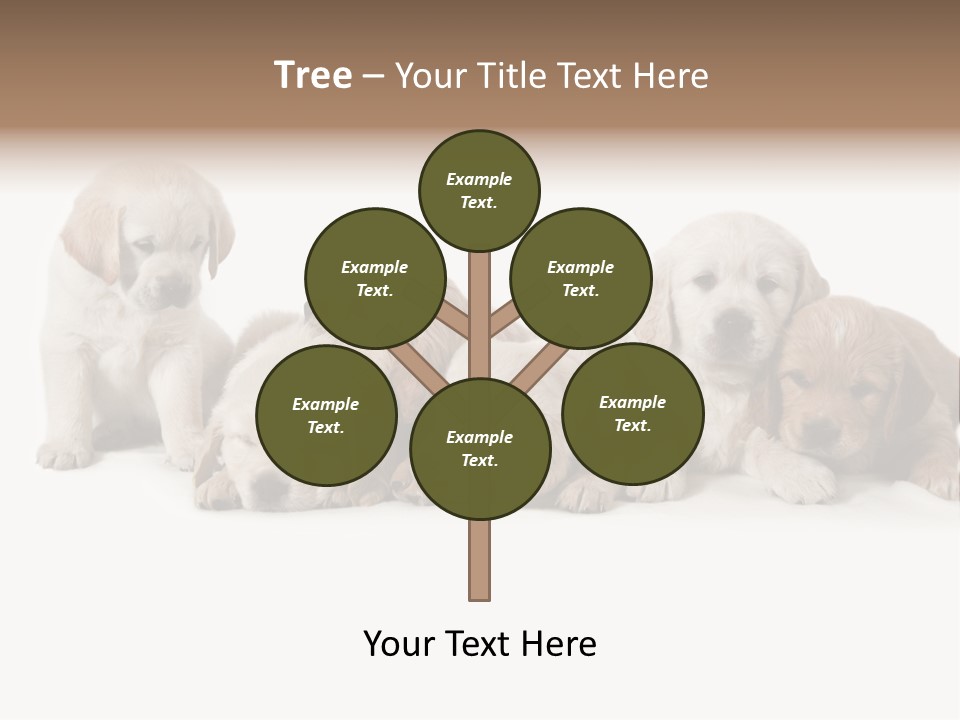 Mammal Portrait Retriever PowerPoint Template