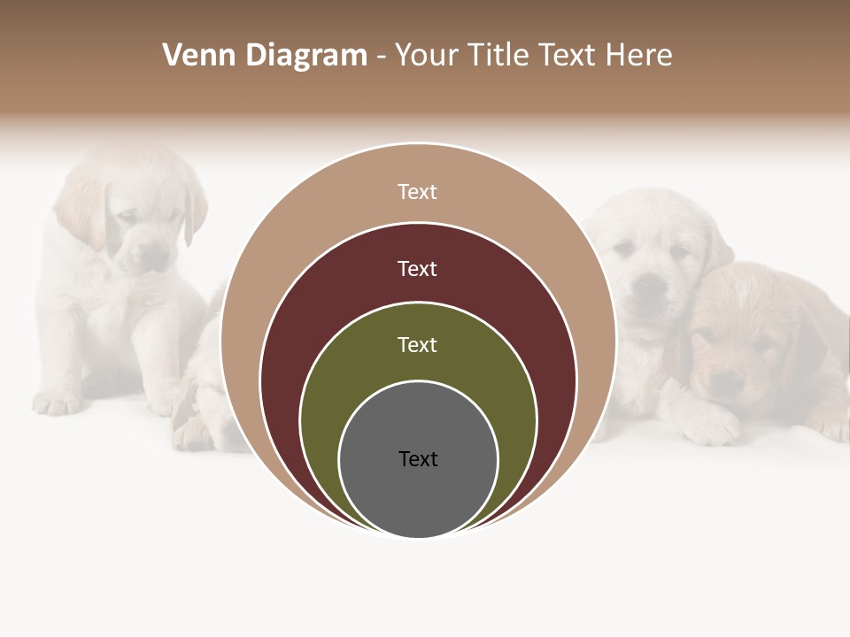 Mammal Portrait Retriever PowerPoint Template