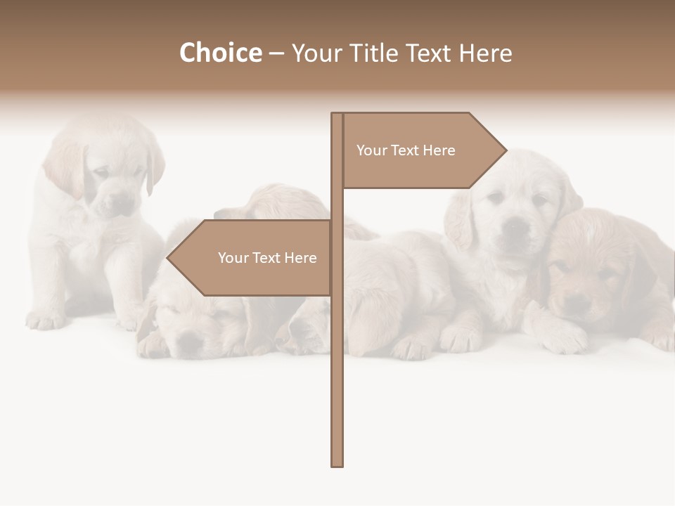 Mammal Portrait Retriever PowerPoint Template