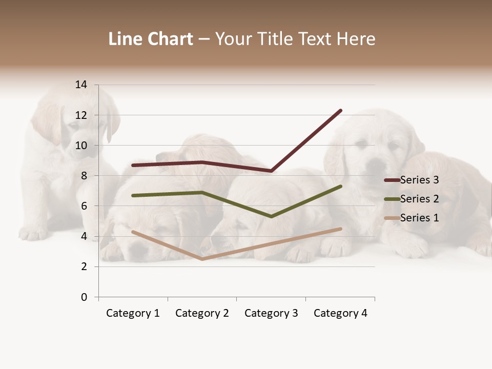 Mammal Portrait Retriever PowerPoint Template