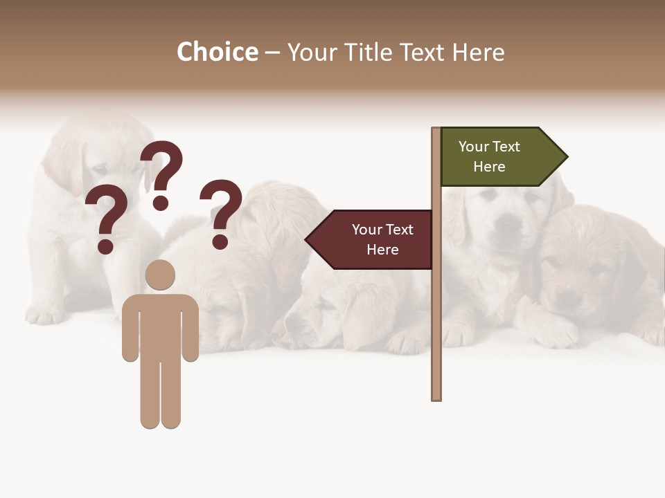 Mammal Portrait Retriever PowerPoint Template