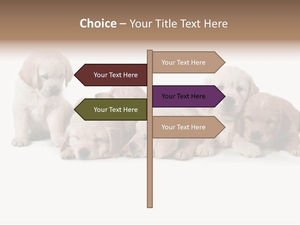 Mammal Portrait Retriever PowerPoint Template