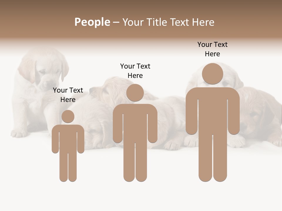 Mammal Portrait Retriever PowerPoint Template