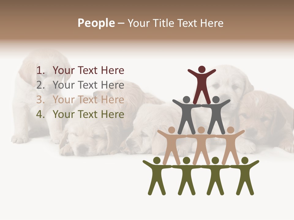 Mammal Portrait Retriever PowerPoint Template