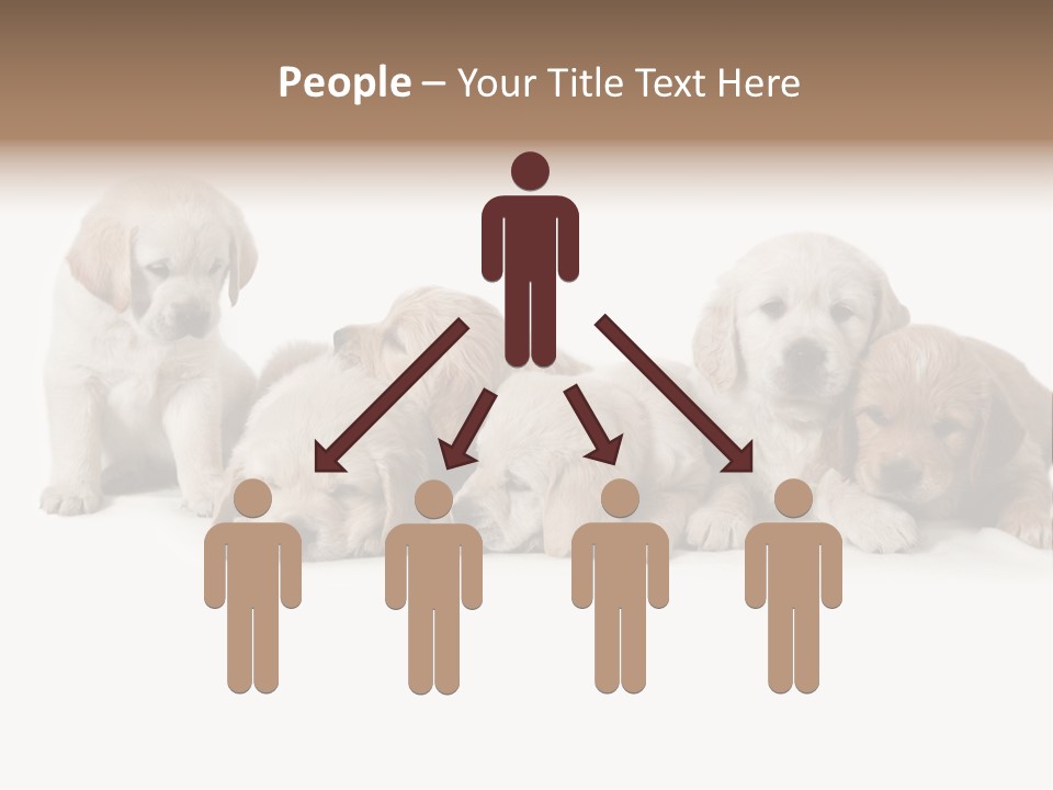 Mammal Portrait Retriever PowerPoint Template