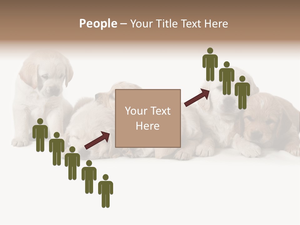 Mammal Portrait Retriever PowerPoint Template