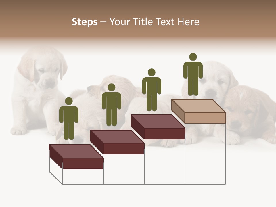 Mammal Portrait Retriever PowerPoint Template