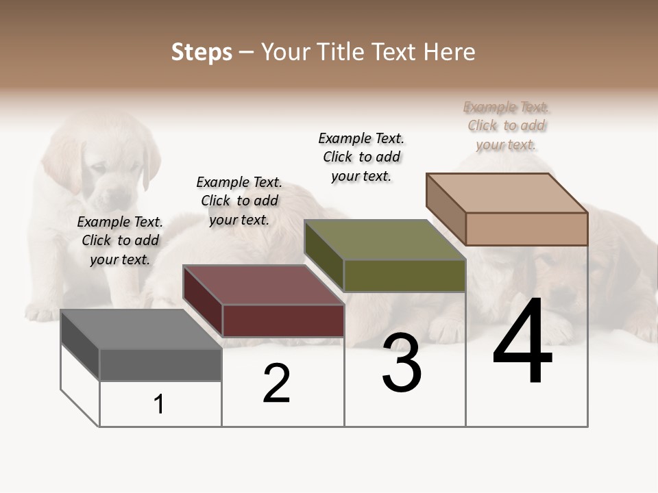 Mammal Portrait Retriever PowerPoint Template