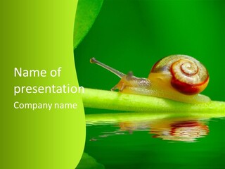 Plant Animal Lonely PowerPoint Template