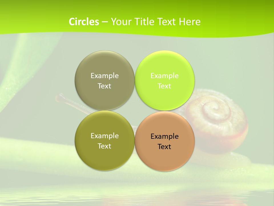 Plant Animal Lonely PowerPoint Template