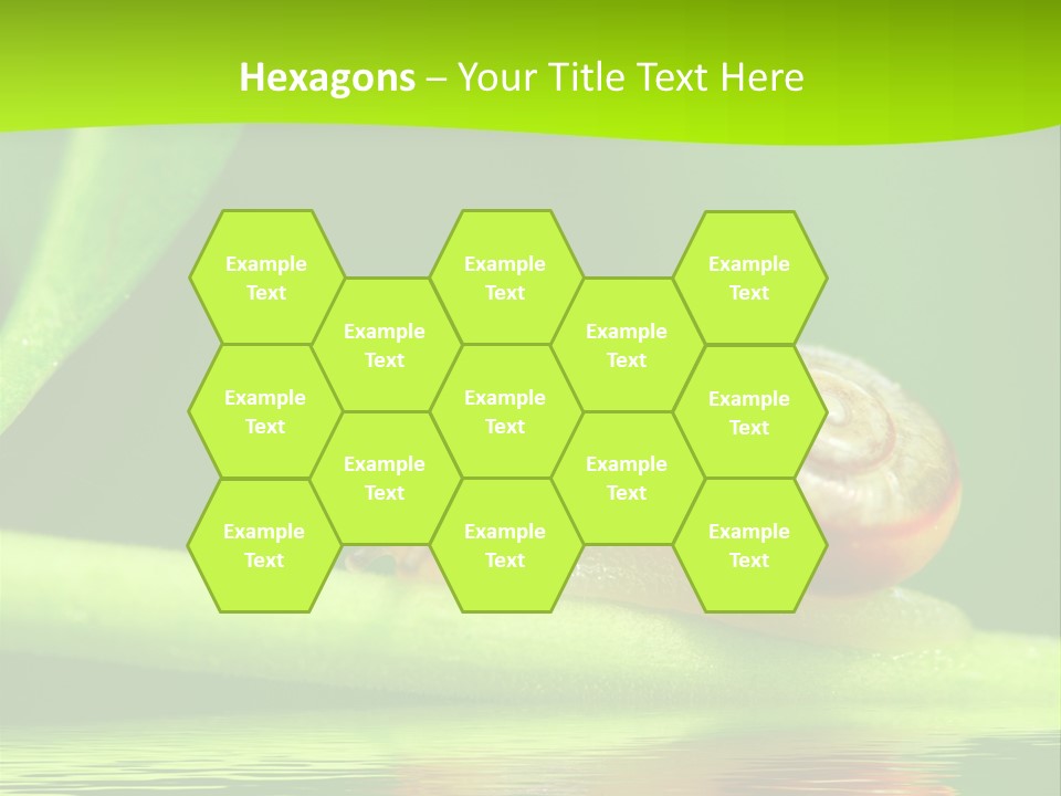 Plant Animal Lonely PowerPoint Template