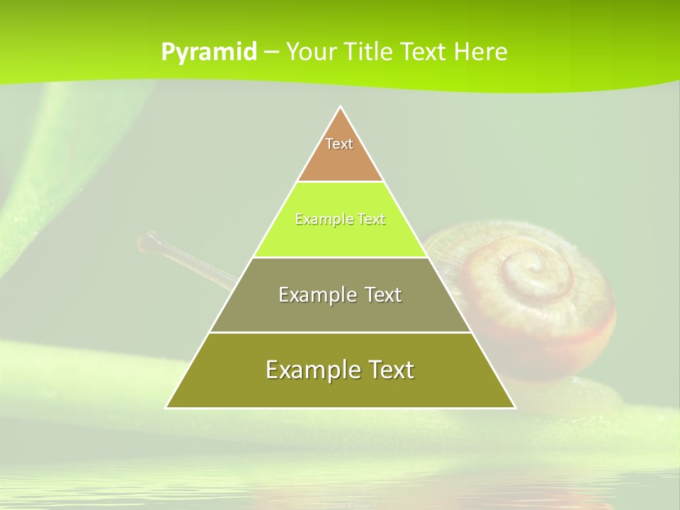 Plant Animal Lonely PowerPoint Template