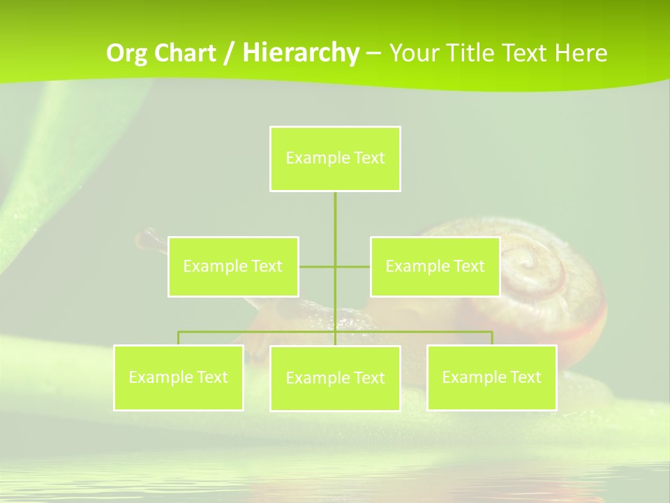 Plant Animal Lonely PowerPoint Template
