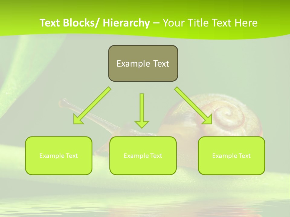 Plant Animal Lonely PowerPoint Template