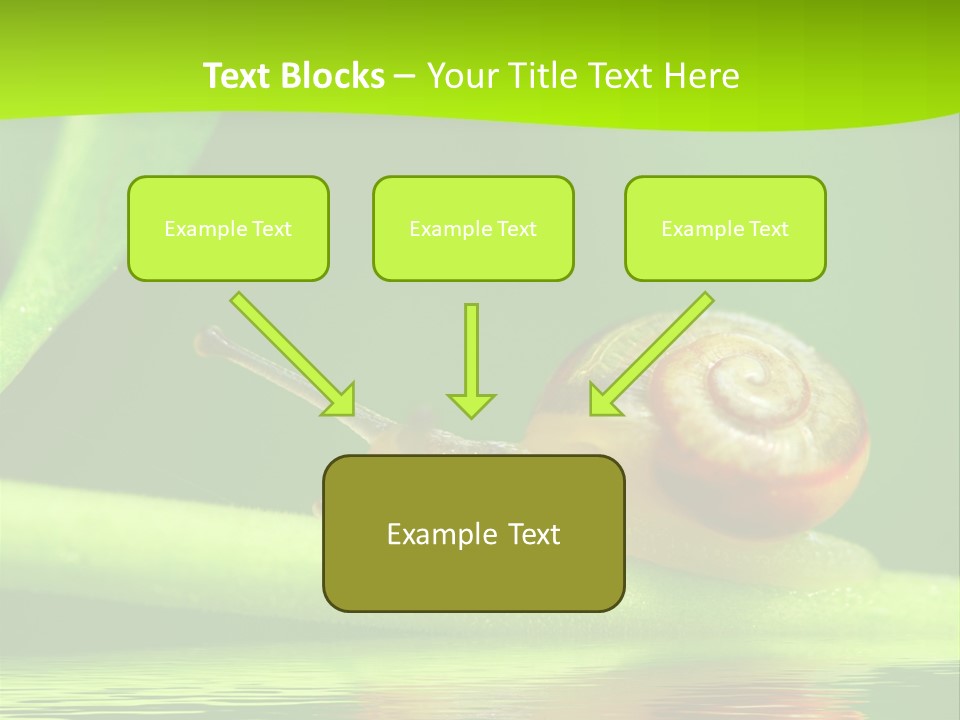 Plant Animal Lonely PowerPoint Template