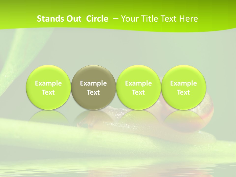 Plant Animal Lonely PowerPoint Template