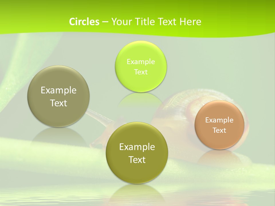 Plant Animal Lonely PowerPoint Template