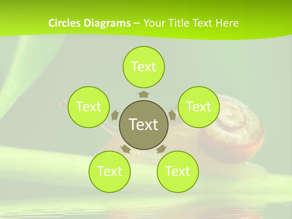 Plant Animal Lonely PowerPoint Template