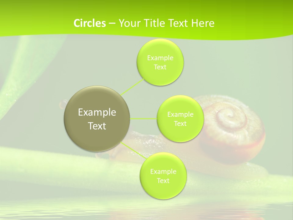 Plant Animal Lonely PowerPoint Template