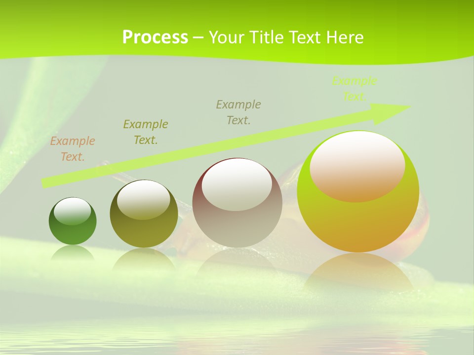 Plant Animal Lonely PowerPoint Template