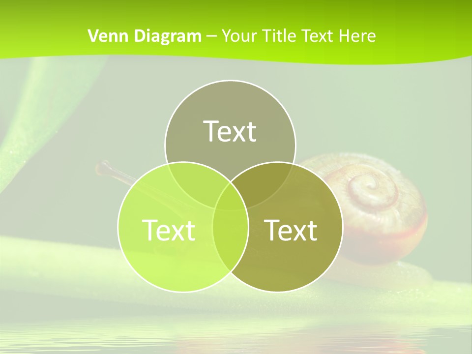 Plant Animal Lonely PowerPoint Template