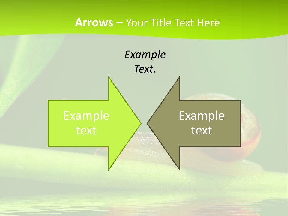 Plant Animal Lonely PowerPoint Template