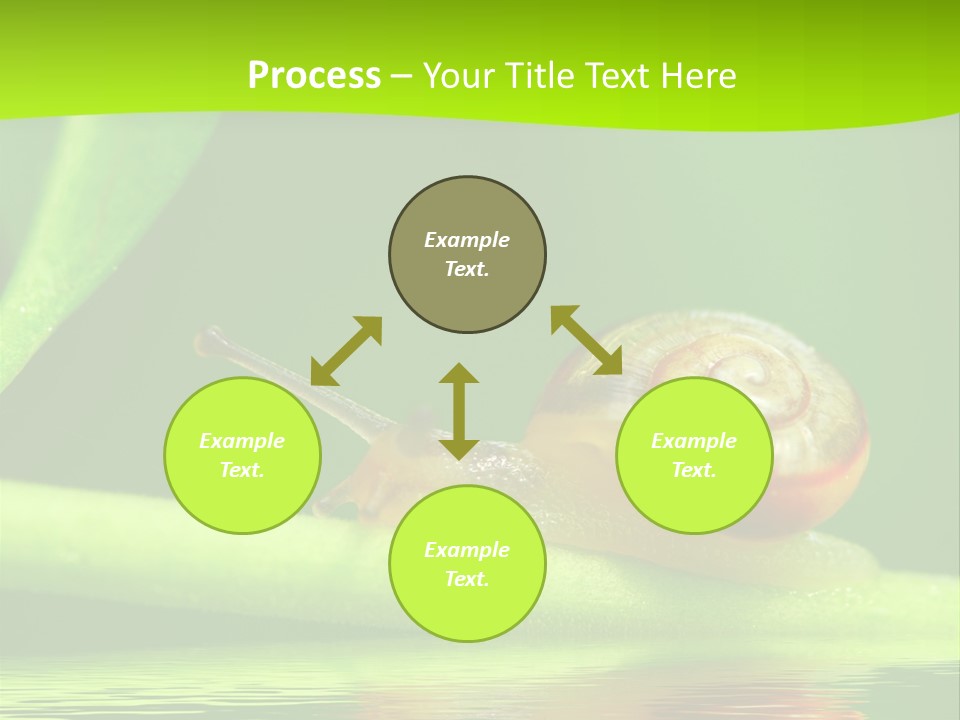 Plant Animal Lonely PowerPoint Template