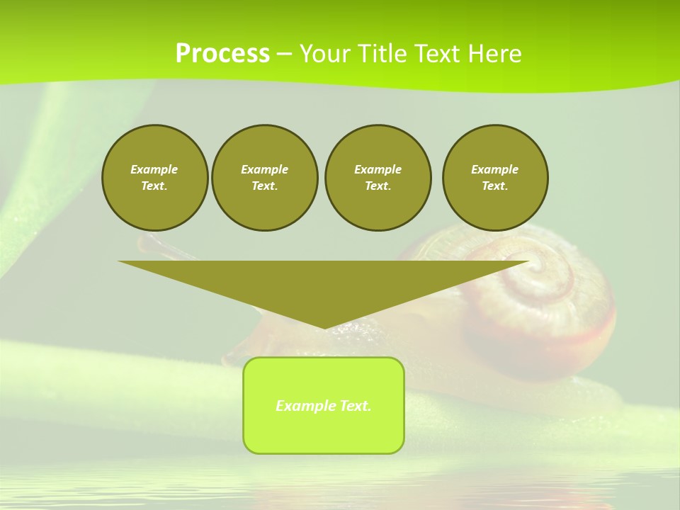 Plant Animal Lonely PowerPoint Template