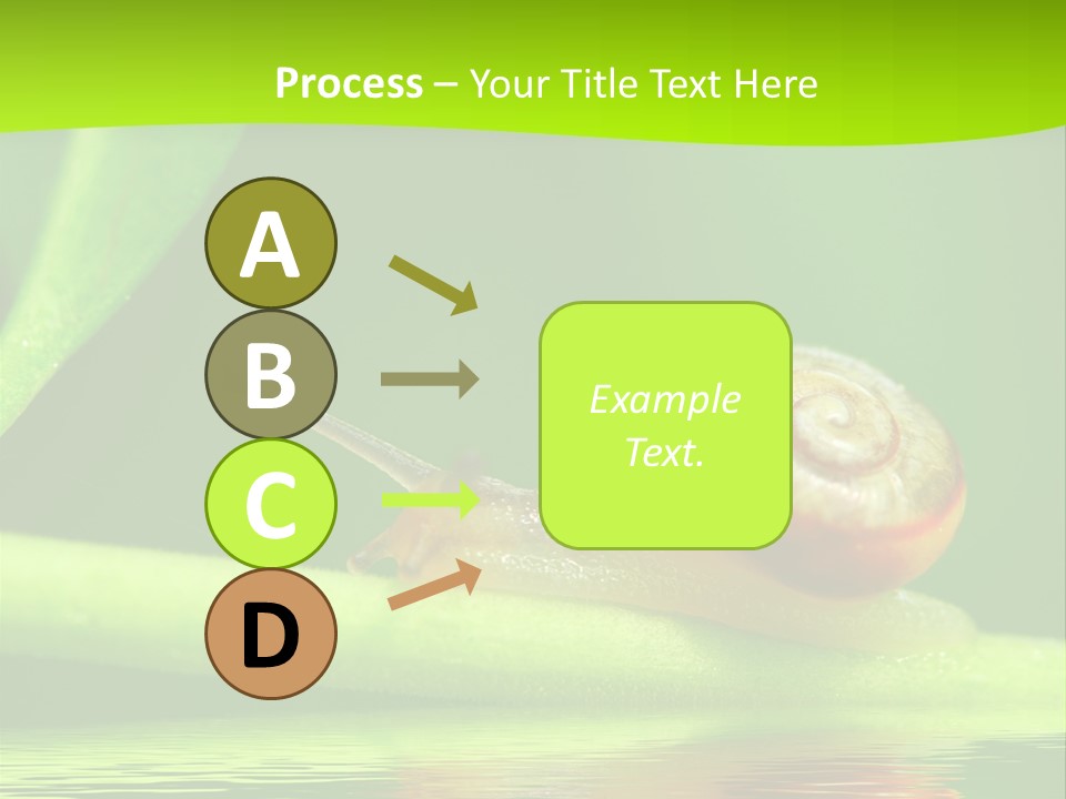 Plant Animal Lonely PowerPoint Template